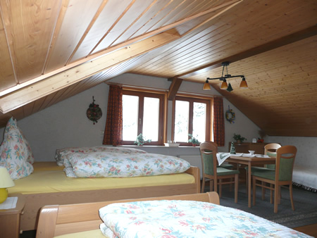 Haus Mahler In Schluchsee Blasiwald Im Schwarzwald