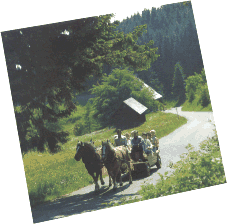sommer.gif (23152 Byte)