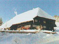 m_winter.jpg (9219 Byte)