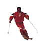 skier.gif (7893 Byte)