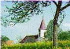 Bachheim